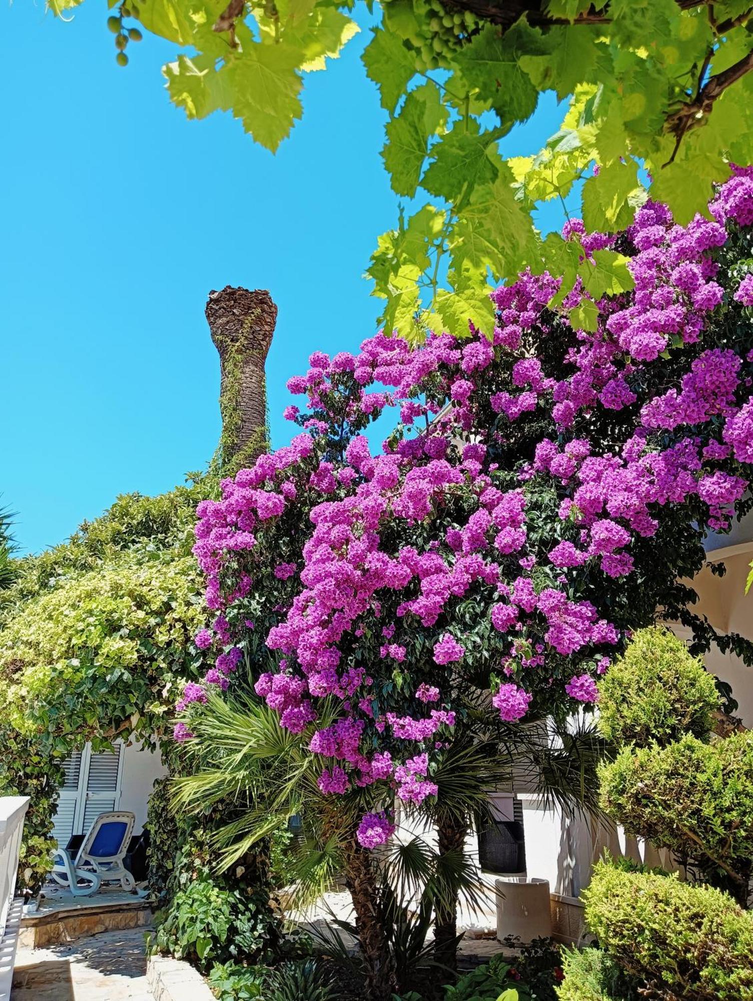 Villa Aspalathos Kaštela Екстериор снимка